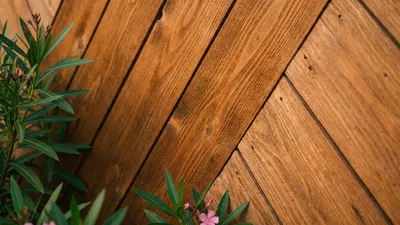 Deck & Fence Stain